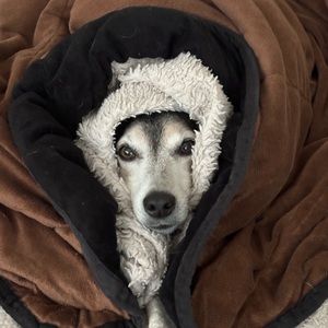 Meet your Posher, Candice